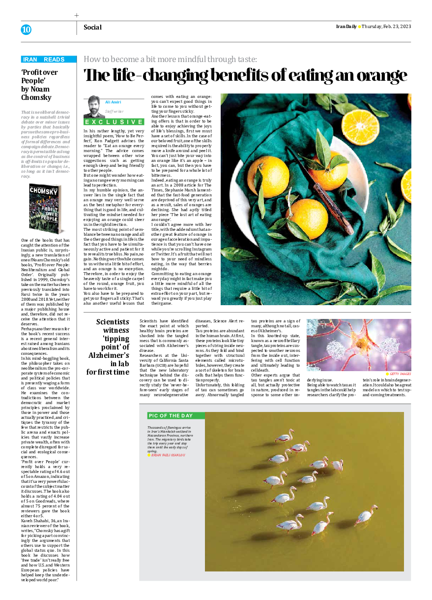 Iran Daily - Number Seven Thousand Two Hundred and Forty Three - 22 February 2023 - Page 10