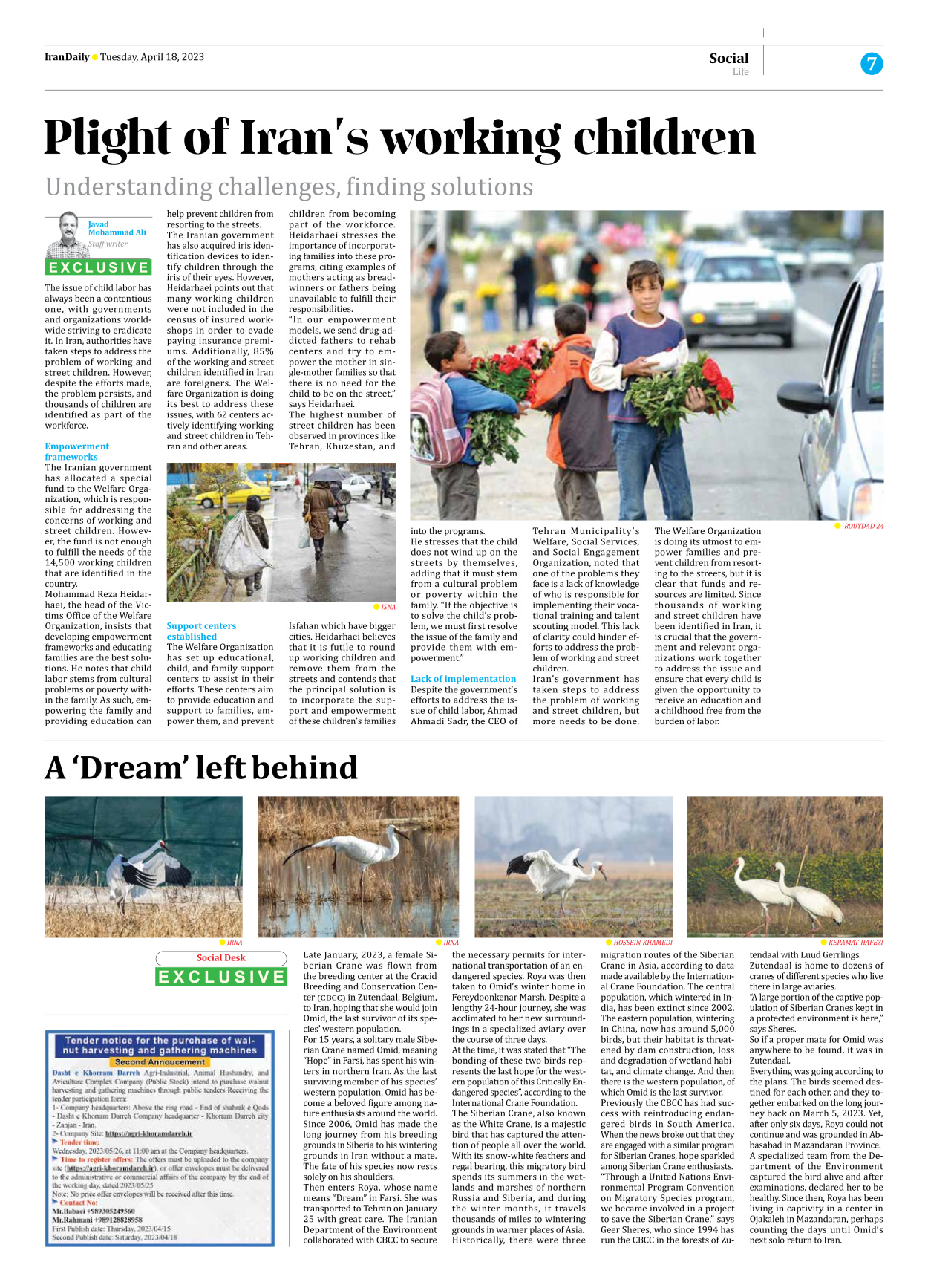 Iran Daily - Number Seven Thousand Two Hundred and Seventy One - 18 April 2023 - Page 7