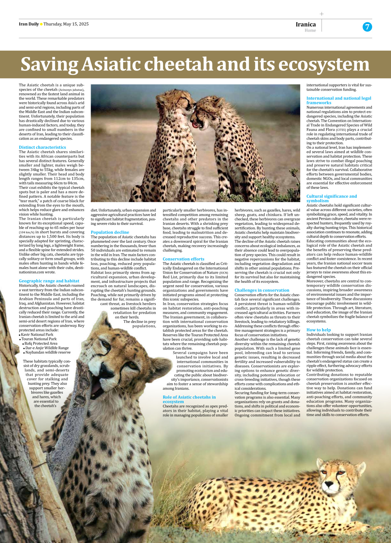 Iran Daily - Number Seven Thousand Eight Hundred and Thirty Two - 15 May 2025 - Page 7