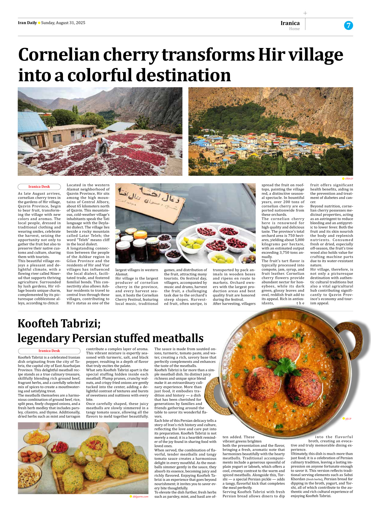 Iran Daily - Number Seven Thousand Nine Hundred and Sixteen - 31 August 2025 - Page 7